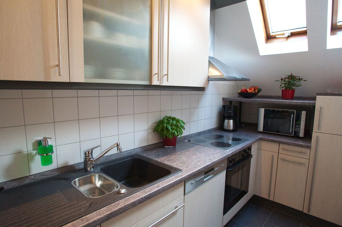 Blick in die komplett ausgestattete Küche Neumann Apartment Marbach am Neckar